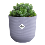 jazz rund mini 11cm lavendel lila